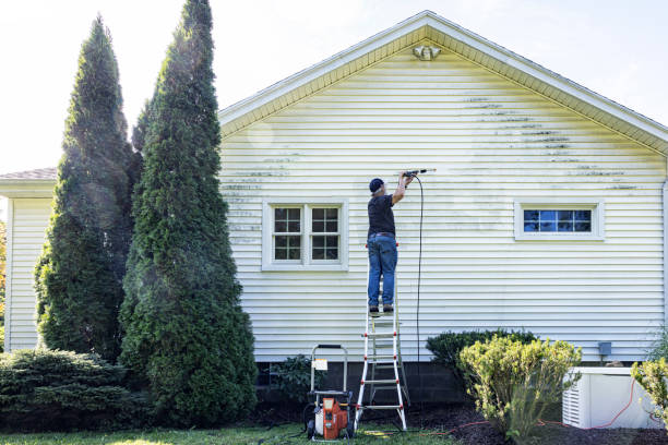 Best Sidewalk and Walkway Cleaning  in Mastic Beach, NY
